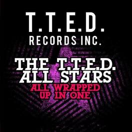 T.T.E.D. All Stars - All Wrapped Up in One - CD SINGLE