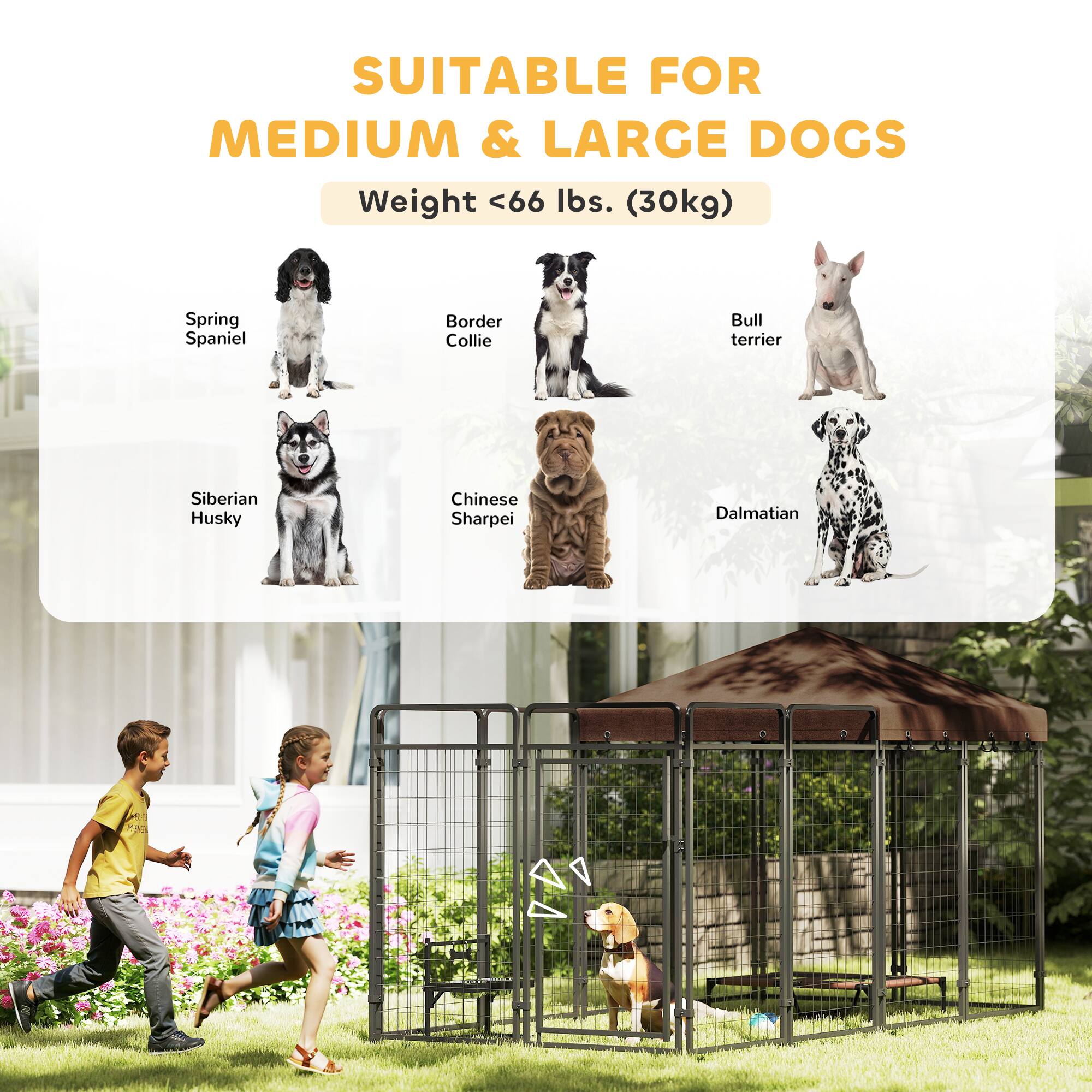 SUITABLE FOR  
MEDIUM & LARGE DOGS  

Weight <66 lbs. (30kg)  

- Spring Spaniel  
- Border Collie  
- Bull Terrier  
- Siberian Husky  
- Chinese Sharpei  
- Dalmatian