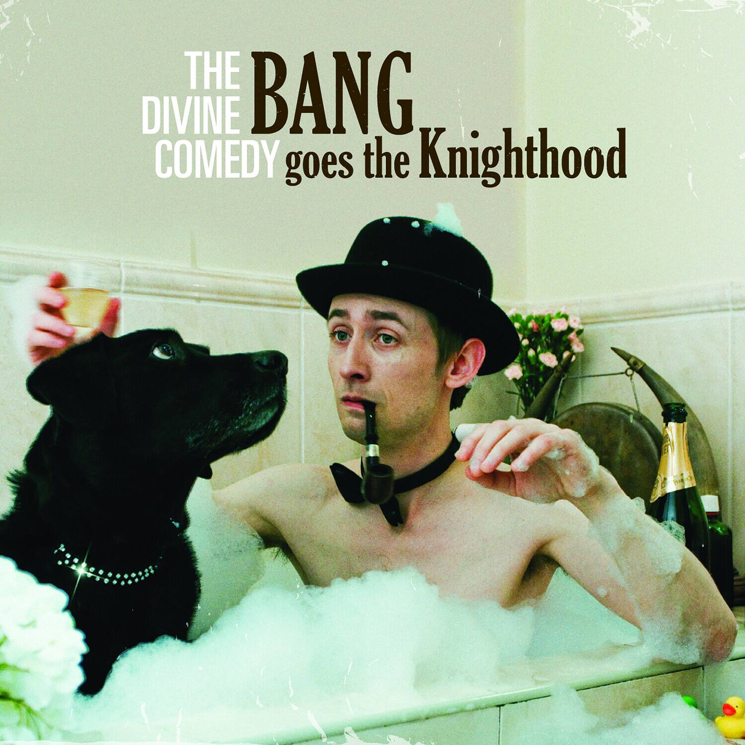 THE DIVINE COMEDY goes the BANG Knighthood