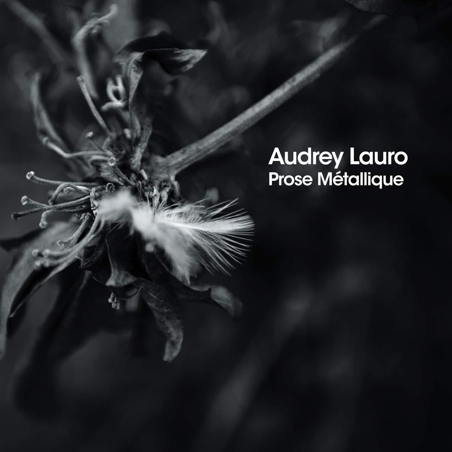 Audrey Lauro - Prose Metalliqe   - COMPACT DISCS [CD] price history on PriceWatchPro