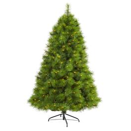 BreeBe - 6.5’ Scotch Pine Christmas Tree w/350 Clear LED Lights - Green