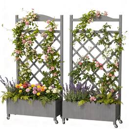CloudRest Pro - Raised Garden Bed with Trellis and Wheels 48 Inch Elevated Planter Box with Drainage Holes 2 Pack - Gray
