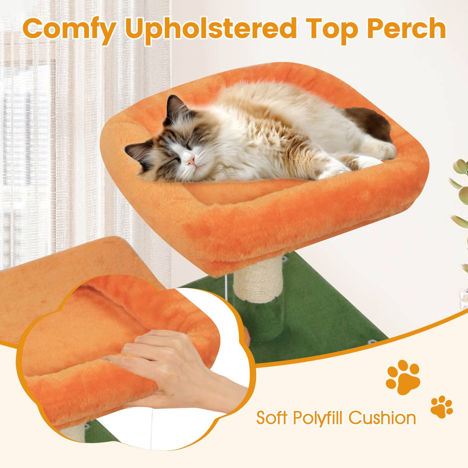 Comfy Upholstered Top Perch  
Soft Polyfill Cushion