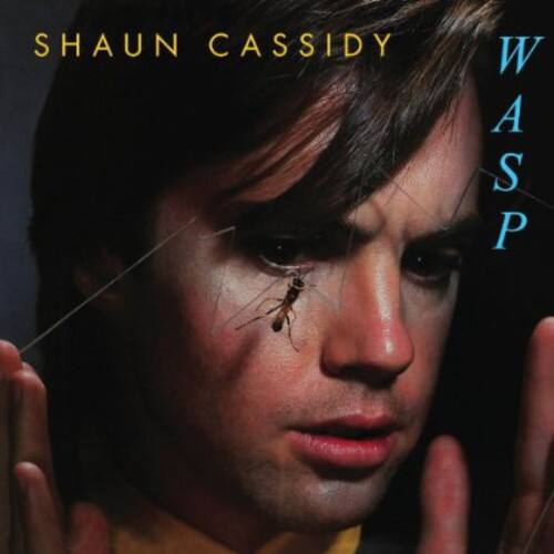 SHAUN CASSIDY  
WASP