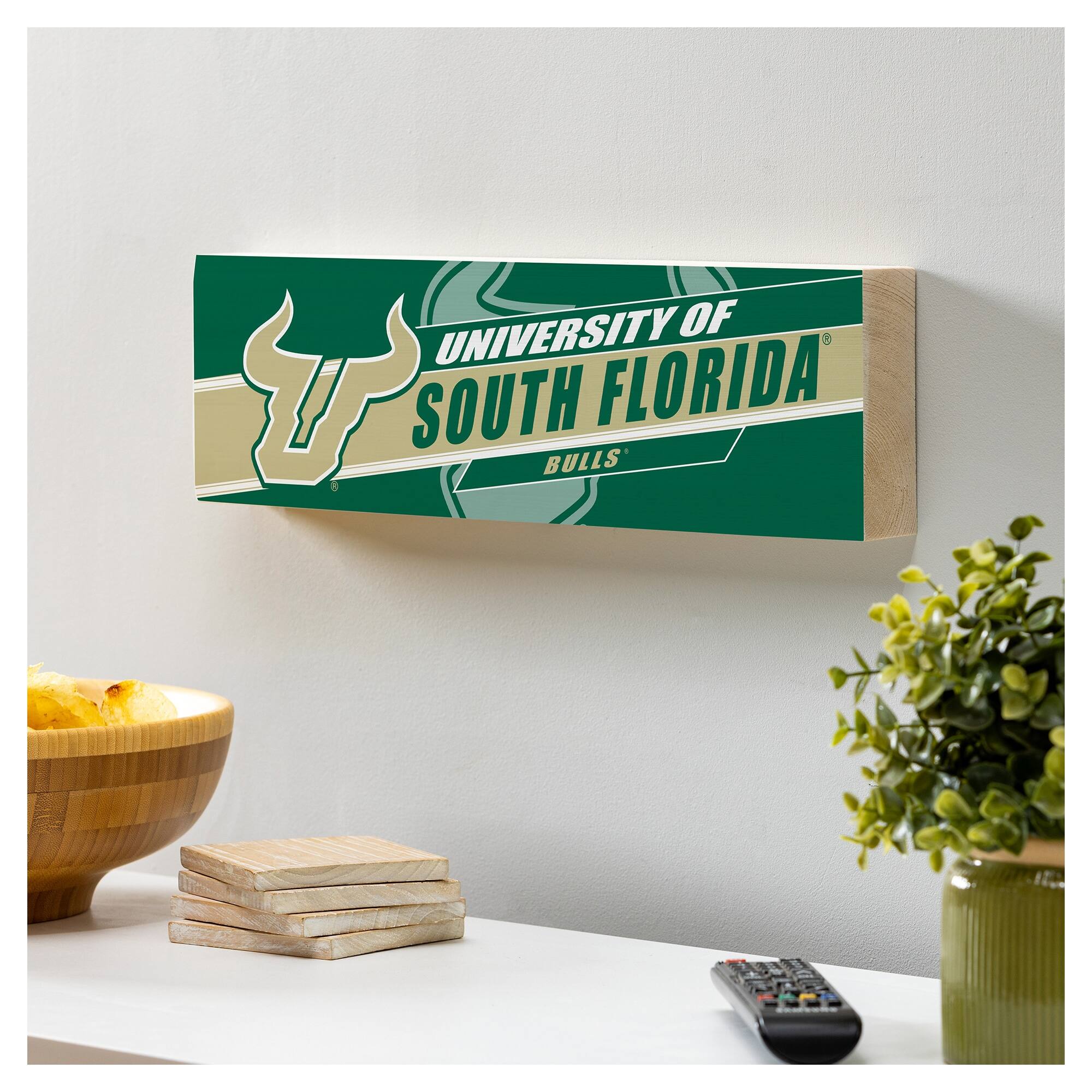 UNIVERSITY OF SOUTH FLORIDA  
BULLS