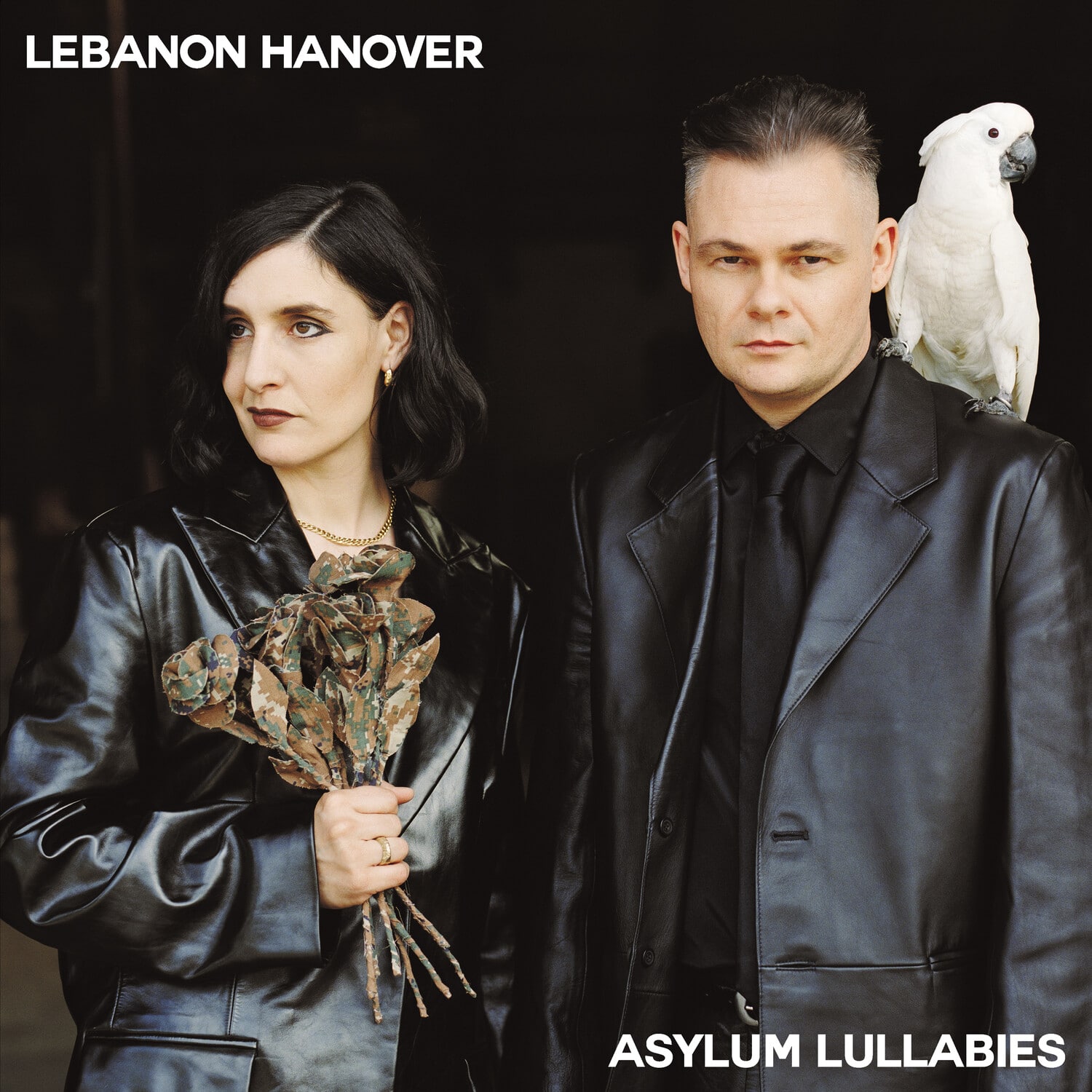 Lebanon Hanover - Asylum Lullabies   - VINYL LP price history on PriceWatchPro