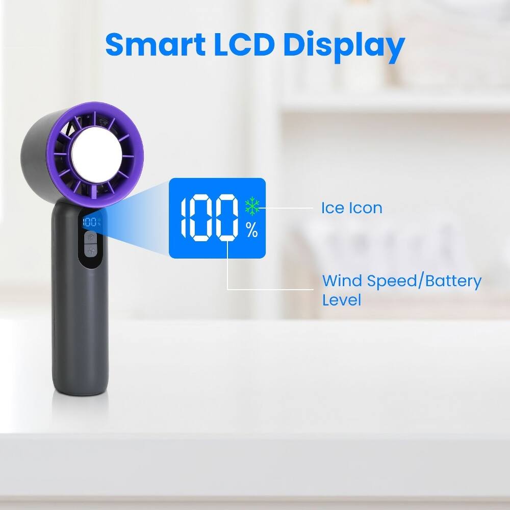 Smart LCD Display  
100%  
Ice Icon  
Wind Speed/Battery Level