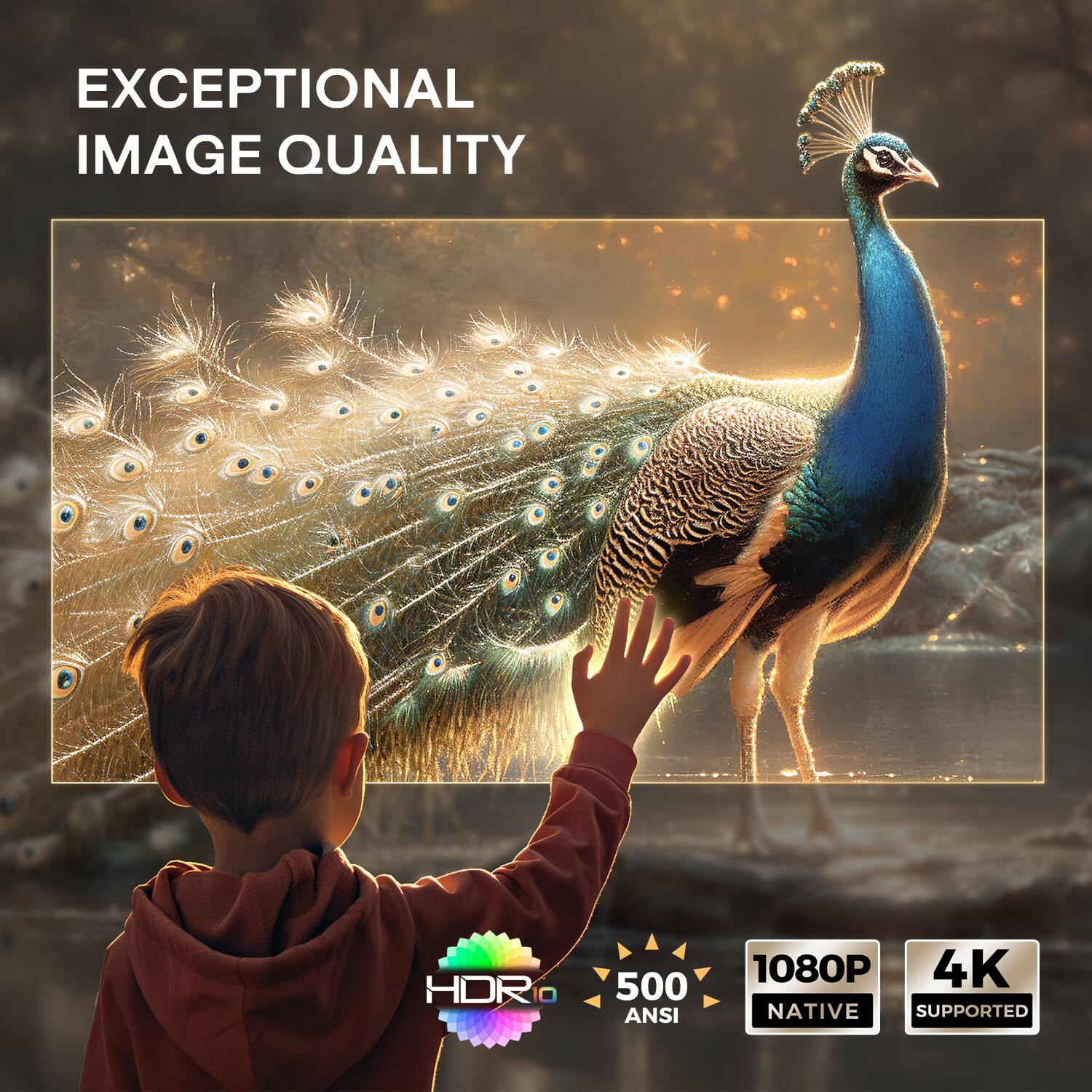 EXCEPTIONAL IMAGE QUALITY

HDR

500 ANSI

1080P NATIVE

4K SUPPORTED