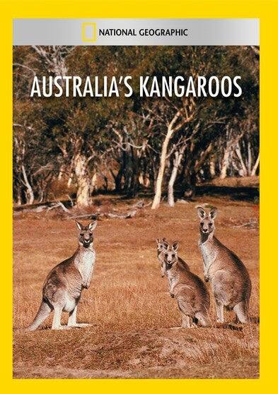 Front. Australias Kangaroos - DVD.