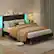 Alt View 13. Bestier - Bed Frame Upholstered Platform Gaming Bed with LED Light & Adjustable Storage Headboard for Bedroom-Queen Size - Black.