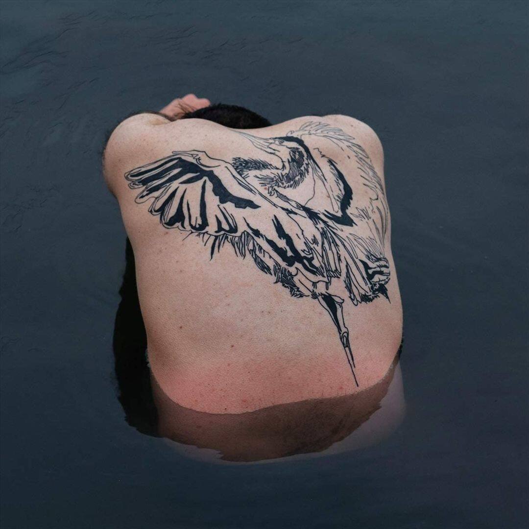 Front. Blue Heron [LP].
