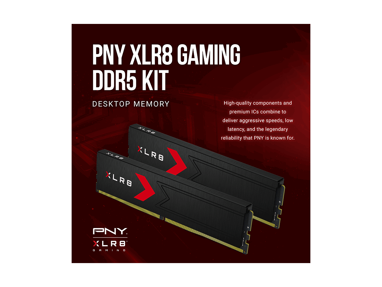 PNY XLR8 GAMING DDR5 KIT DESKTOP MEMORY

High-quality components and premium ICs combine to deliver aggressive speeds, low latency, and the legendary reliability that PNY is known for.
