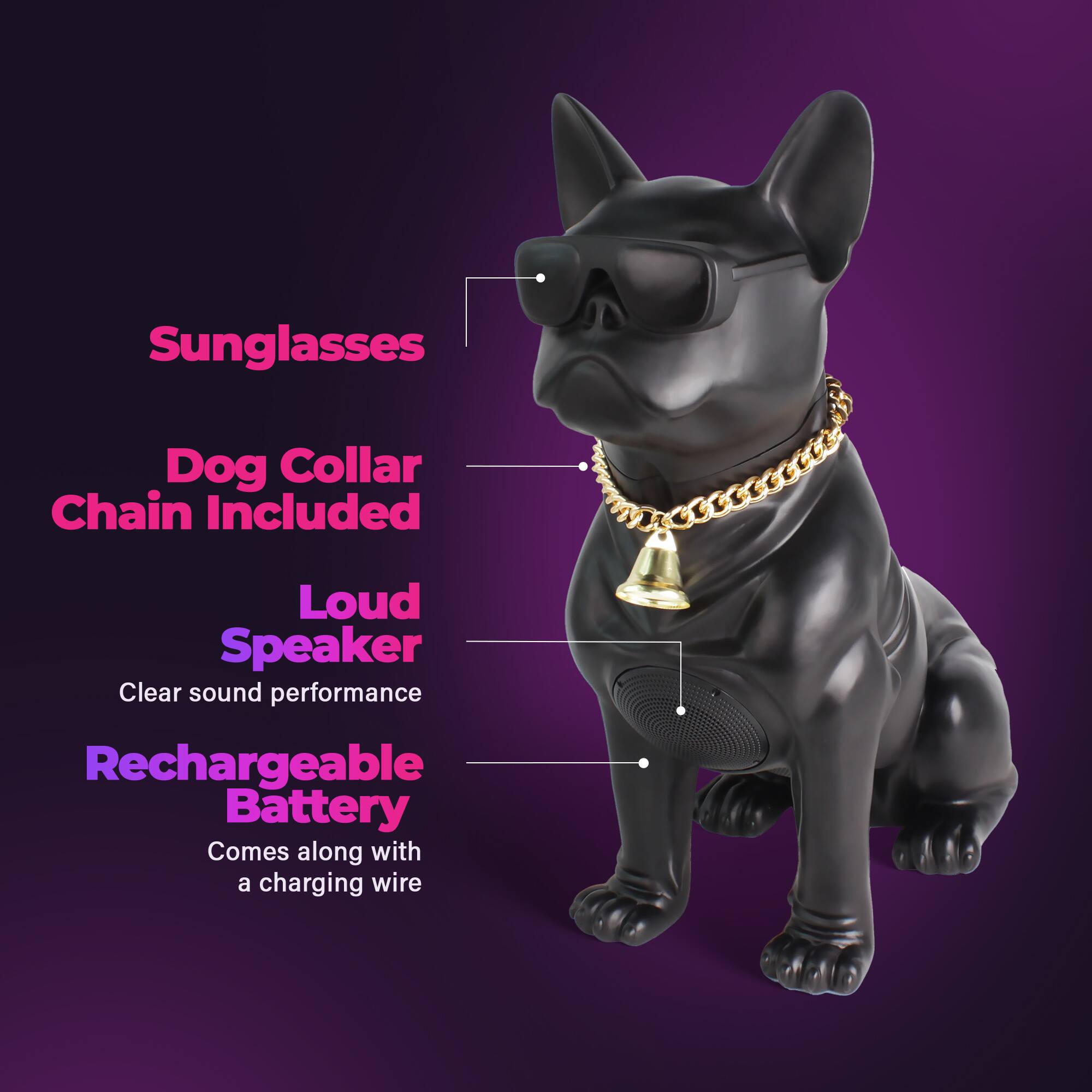 Sunglasses  
Dog Collar Chain Included  
Loud Speaker  
Clear sound performance  
Rechargeable Battery  
Comes along with a charging wire