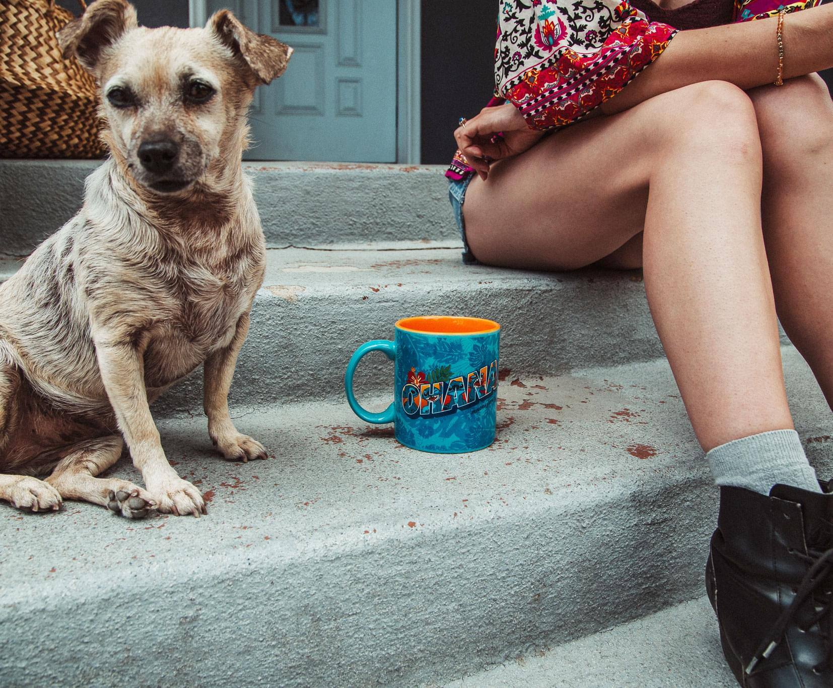 Alt View 4. Silver Buffalo - Disney Lilo & Stitch "Ohana Means Family" Ceramic Mug | Holds 20 Ounces - Blue.