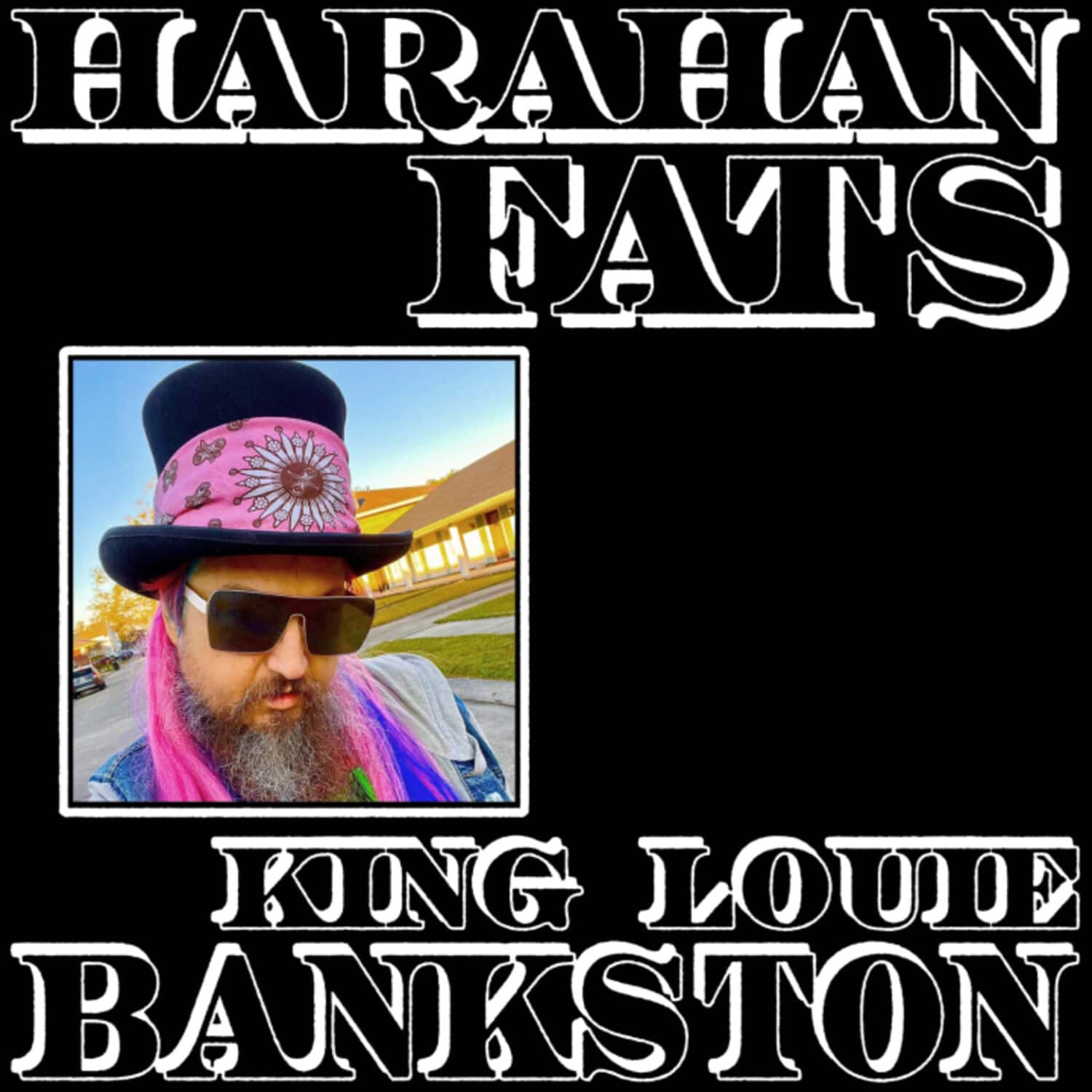 King Louie Bankston - Harahan Fats   - VINYL LP price history on PriceWatchPro