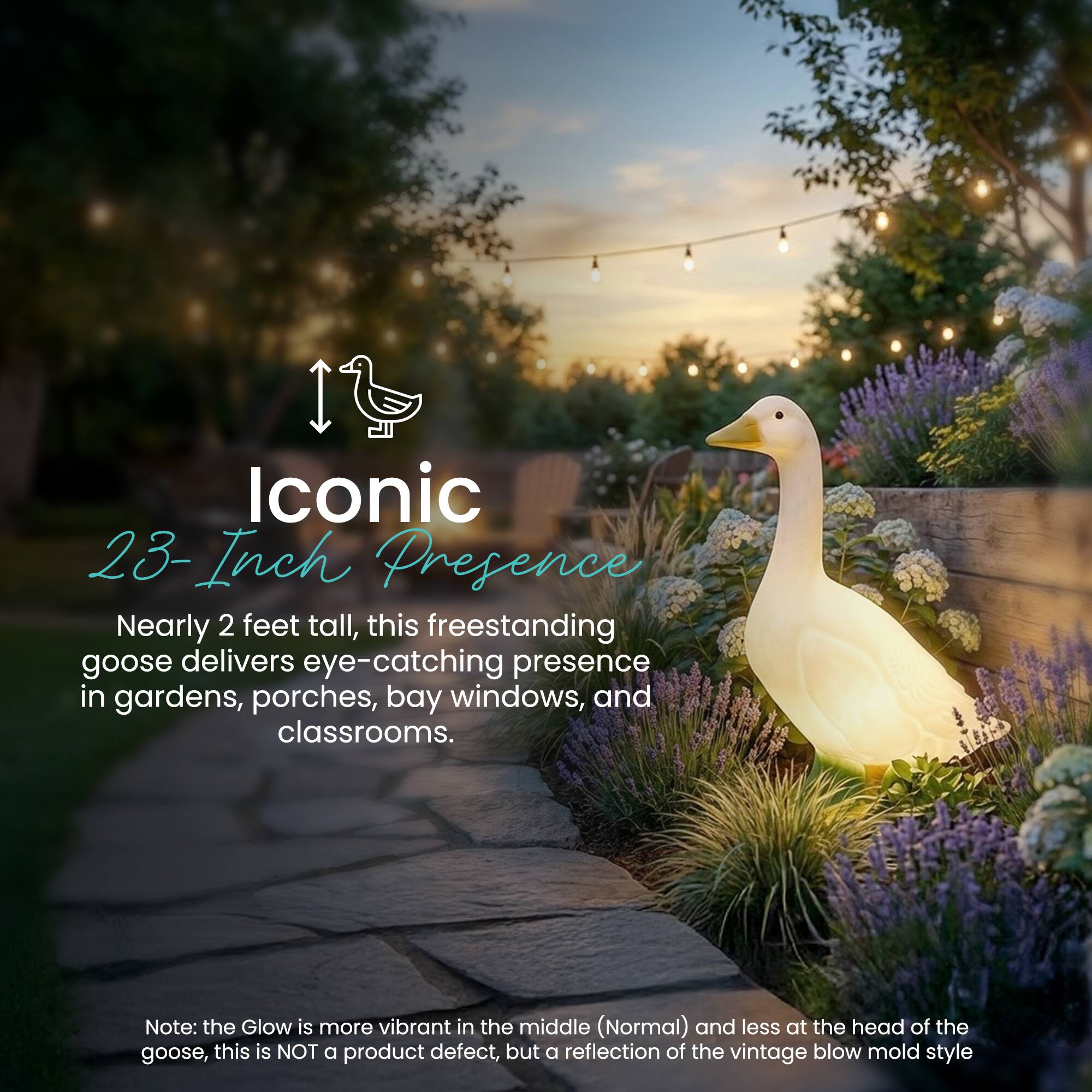 Iconic 23-Inch Presence

Nearly 2 feet tall, this freestanding goose delivers eye-catching presence in gardens, porches, bay windows, and classrooms.

Note: The glow is more vibrant in the middle (Normal) and less at the head of the goose, this is NOT a product defect, but a reflection of the vintage blow mold style.