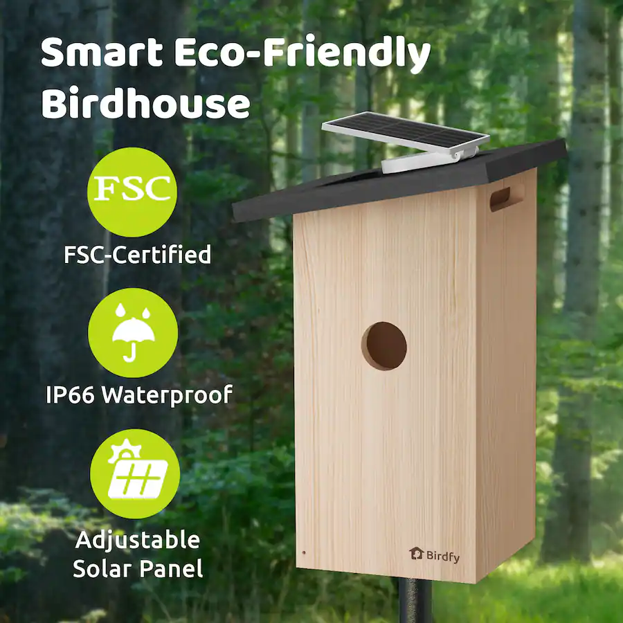 BIRDFY Smart Bird House, Solar Powered, 1080P HD Live View Bird