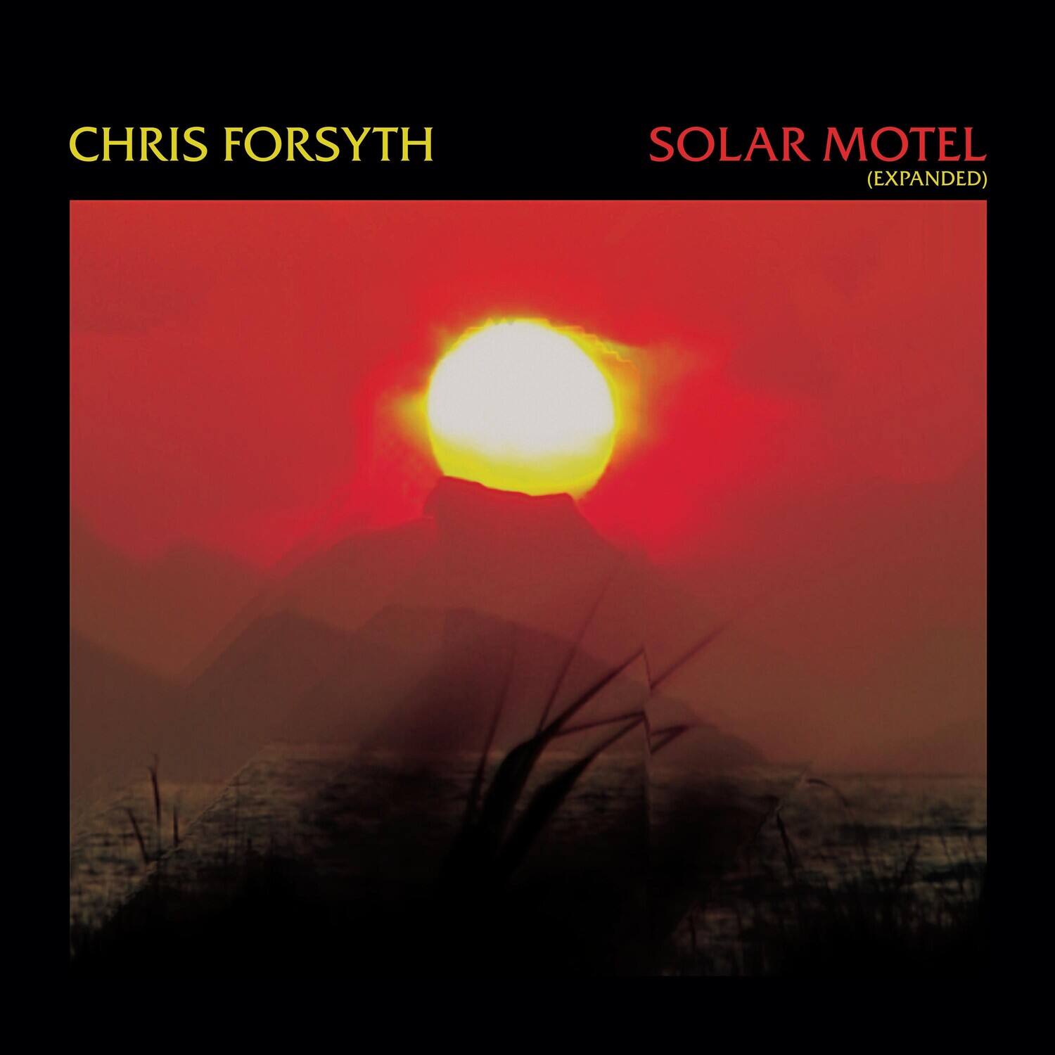 CHRIS FORSYTH  
SOLAR MOTEL (EXPANDED)