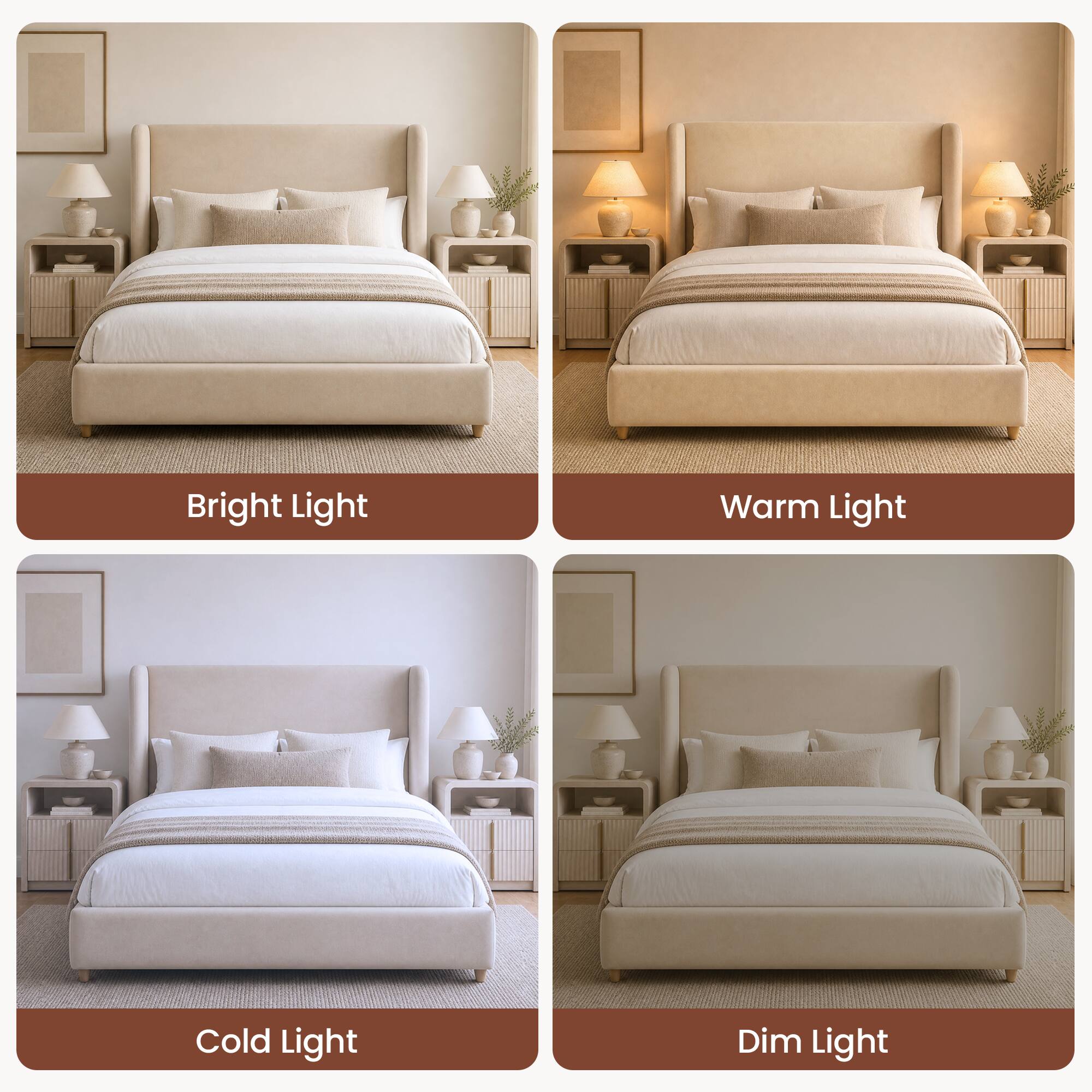 Bright Light  
Warm Light  
Cold Light  
Dim Light