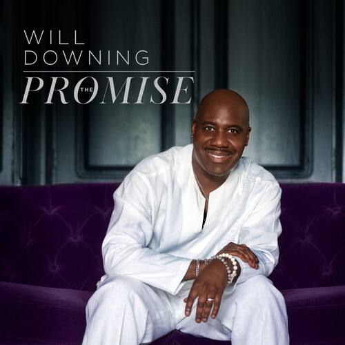 Will Downing - The Promise   - COMPACT DISCS [CD] price history on PriceWatchPro