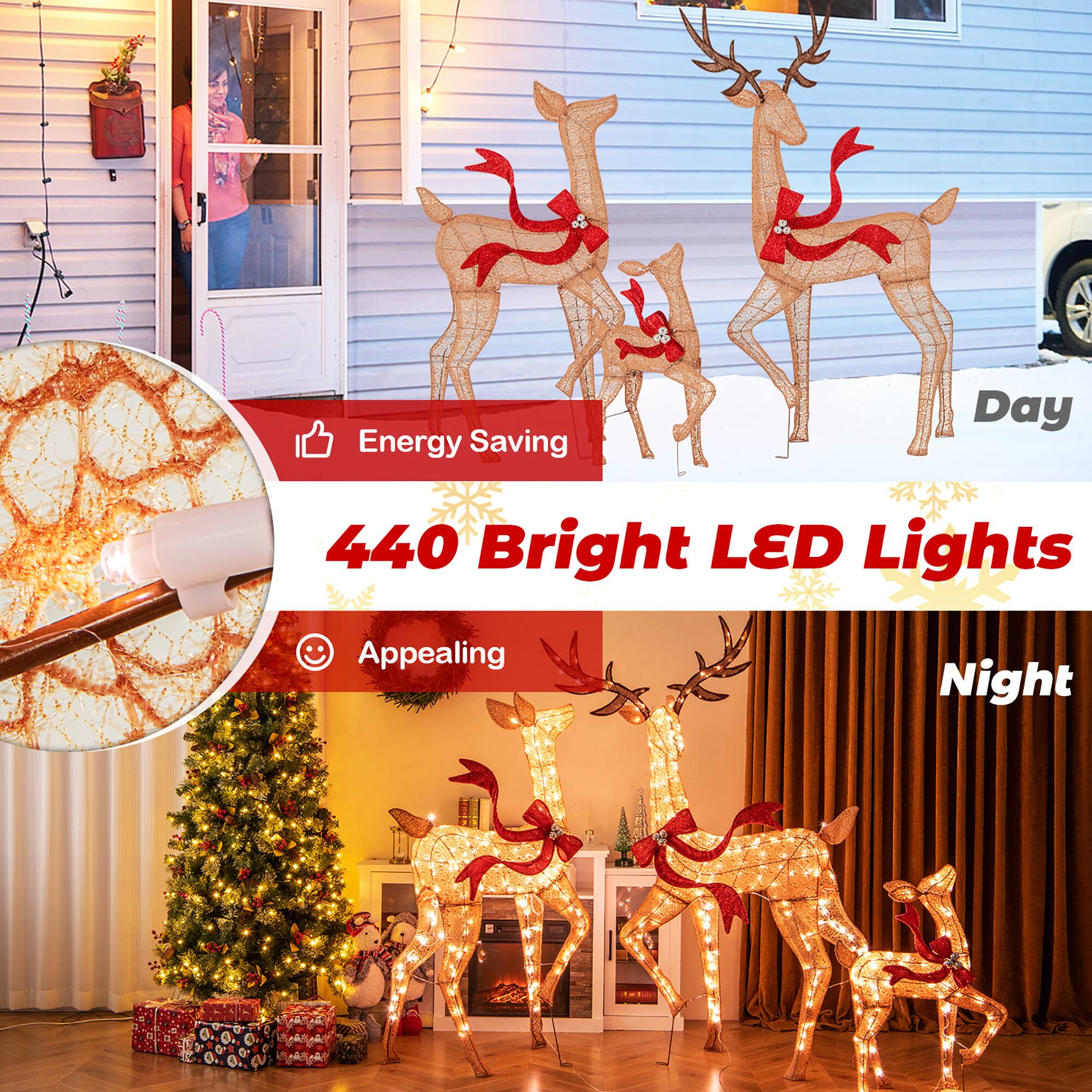 Energy Saving  
440 Bright LED Lights  
Appealing  

Day  
Night