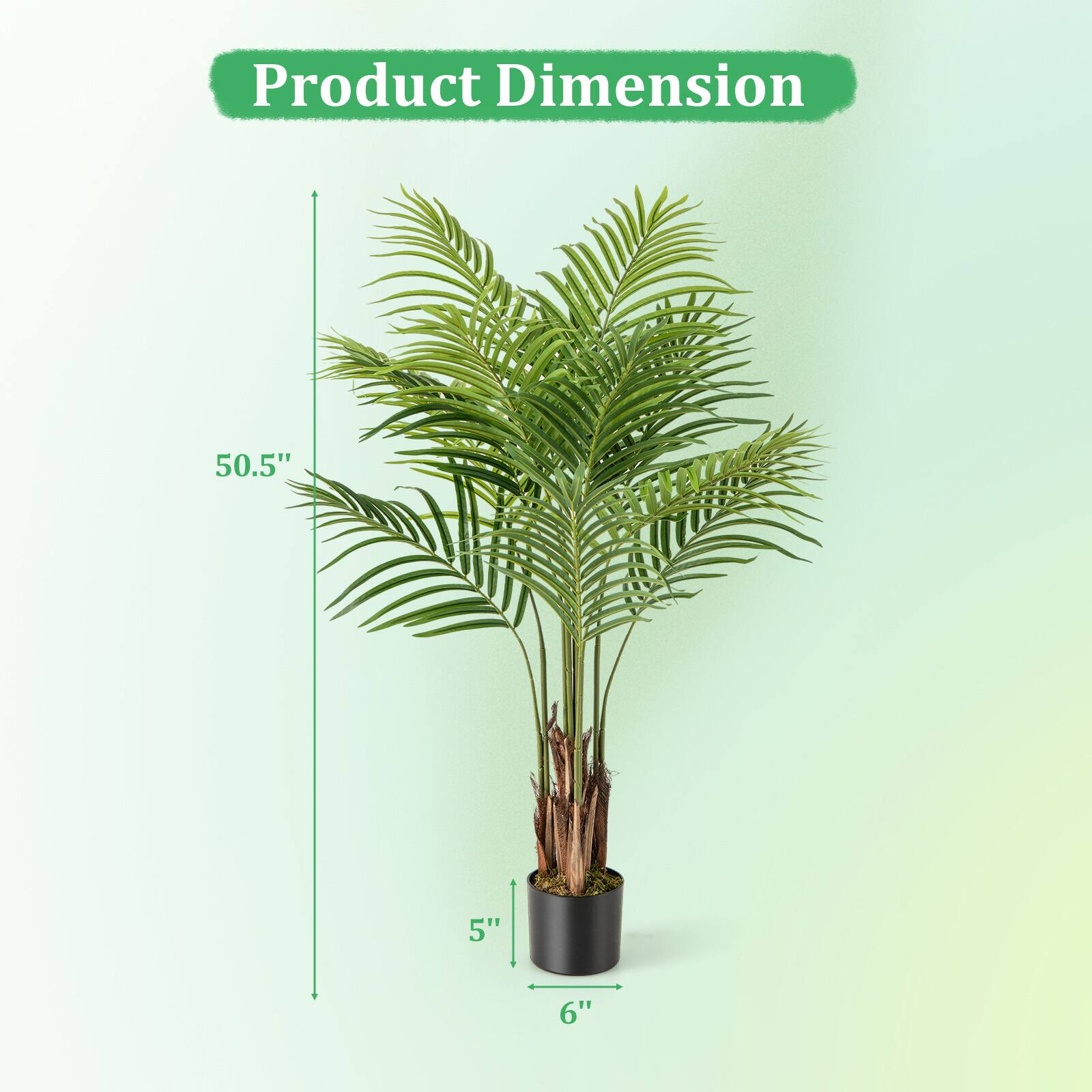 Product Dimension

50.5"  
5"  
6"