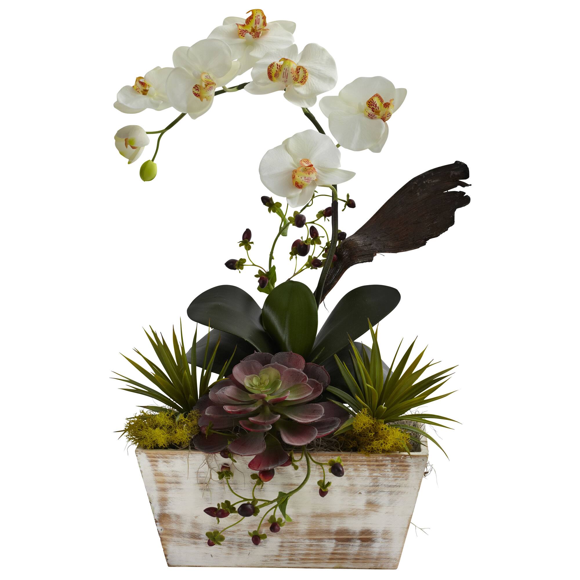 BreeBe - Orchid & Succulent Garden w/White Wash Planter - Multicolor