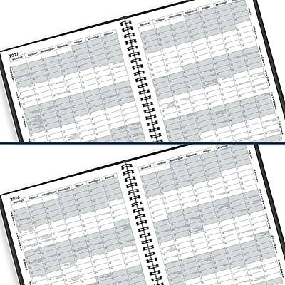 The text on the image is:

2017
2026