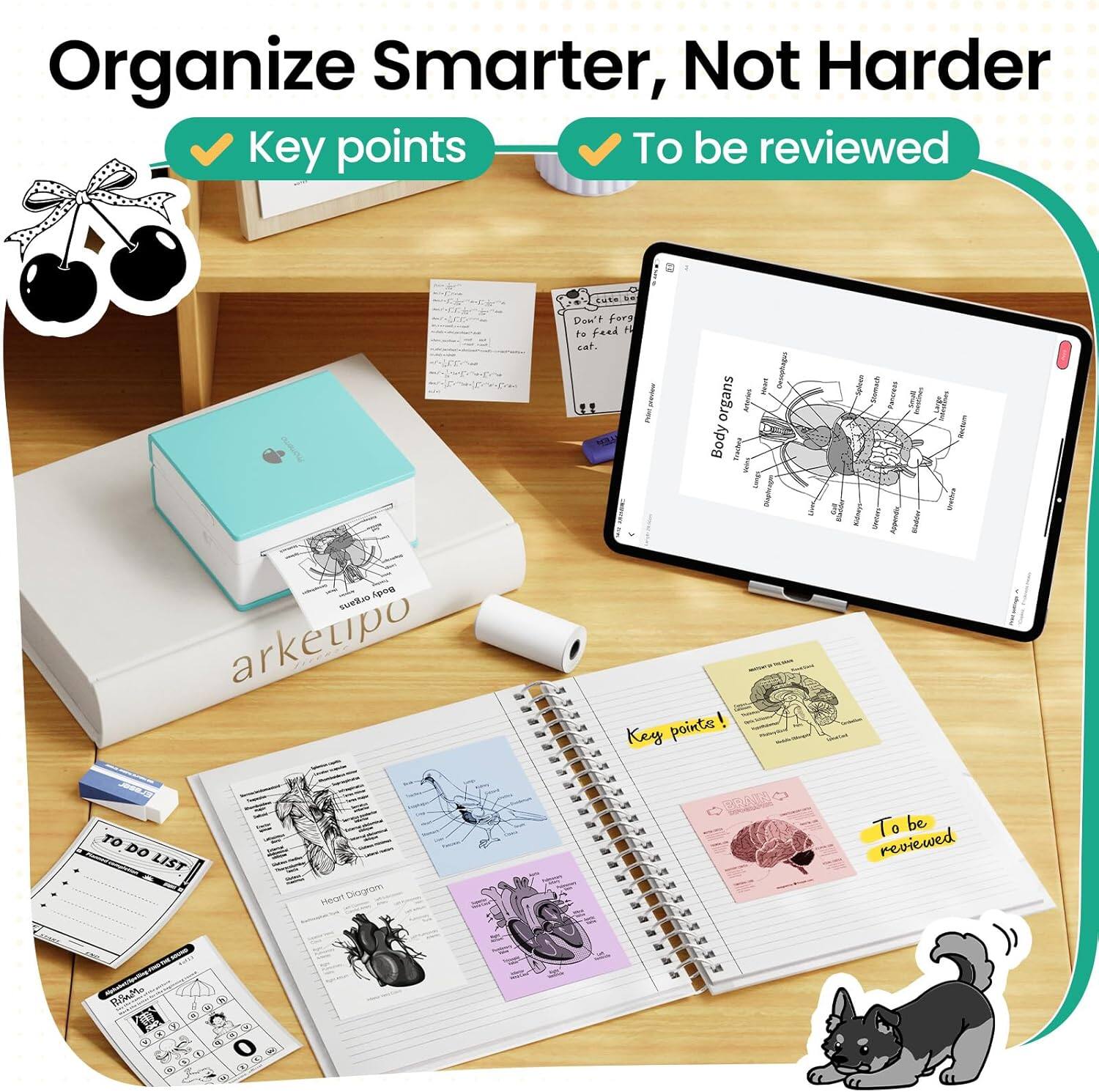 Organize Smarter, Not Harder

Key points
To be reviewed

Cute! Don't forget to feed the cat.

Body organs

TO DO LIST

Heart Diagram

Key points!

To be reviewed