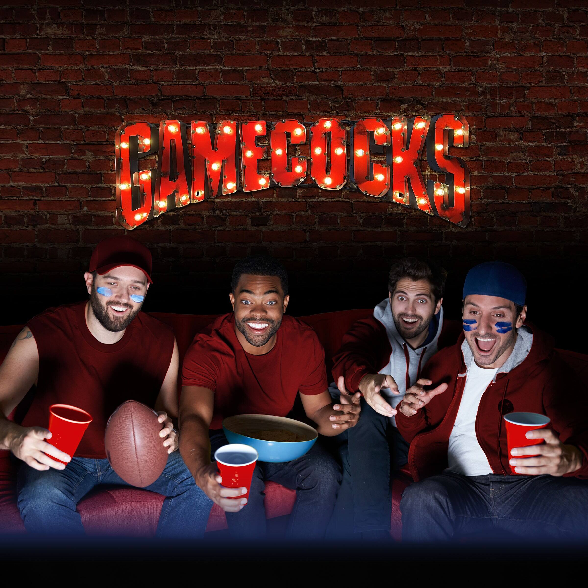 Alt View 2. Imperial - South Carolina Gamecocks Logo Lighted Recycled Metal Sign - Multicolor.