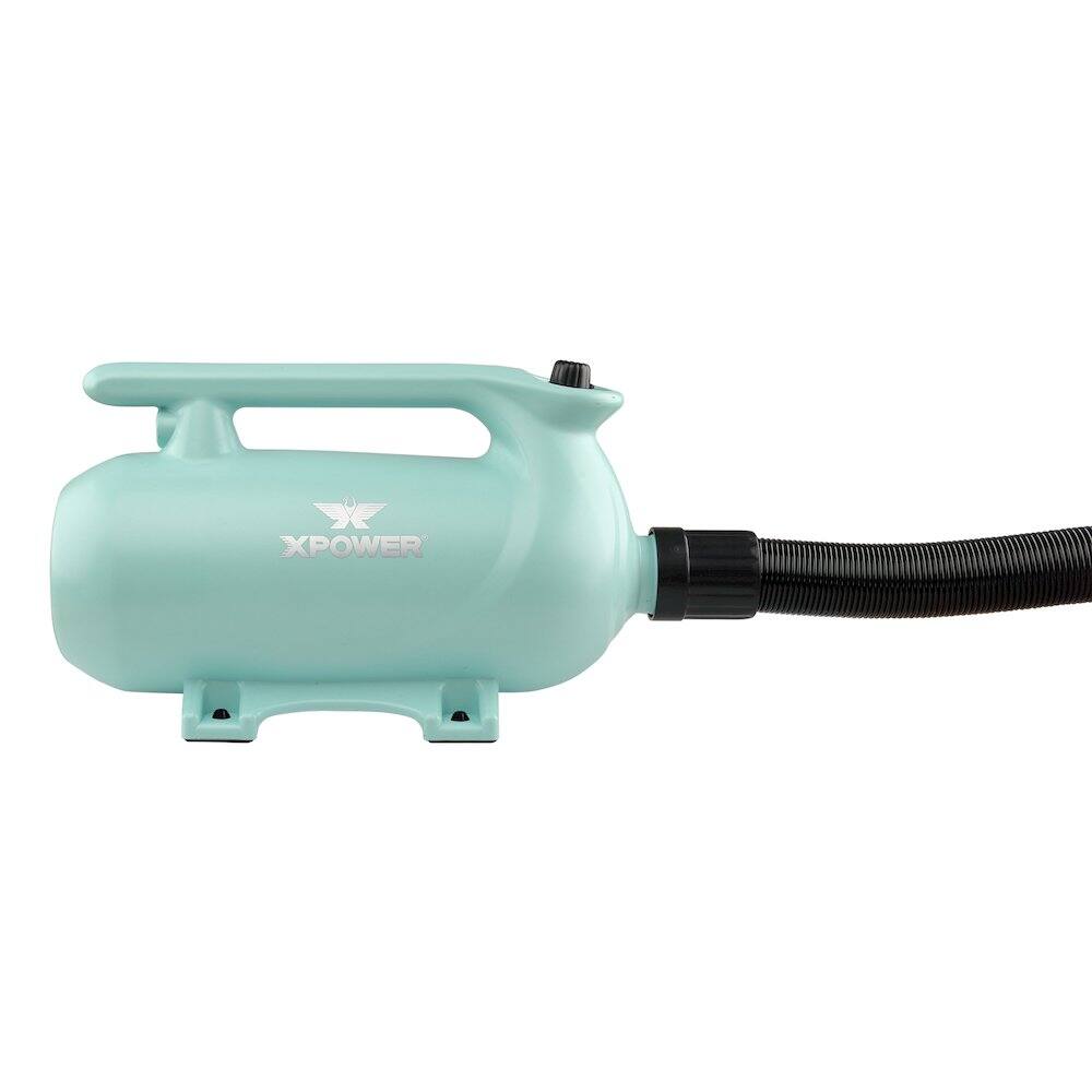 Alt View 2. XPOWER - B-163 High Velocity Variable Speed Double Motor Pet Dryer - Mint Green.