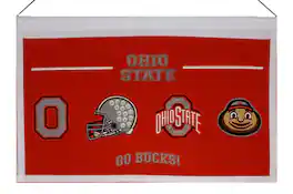 Winning Streak Sports - Ohio State Buckeyes OSU 22x14 Logo Evolution Heritage Banner - Multi