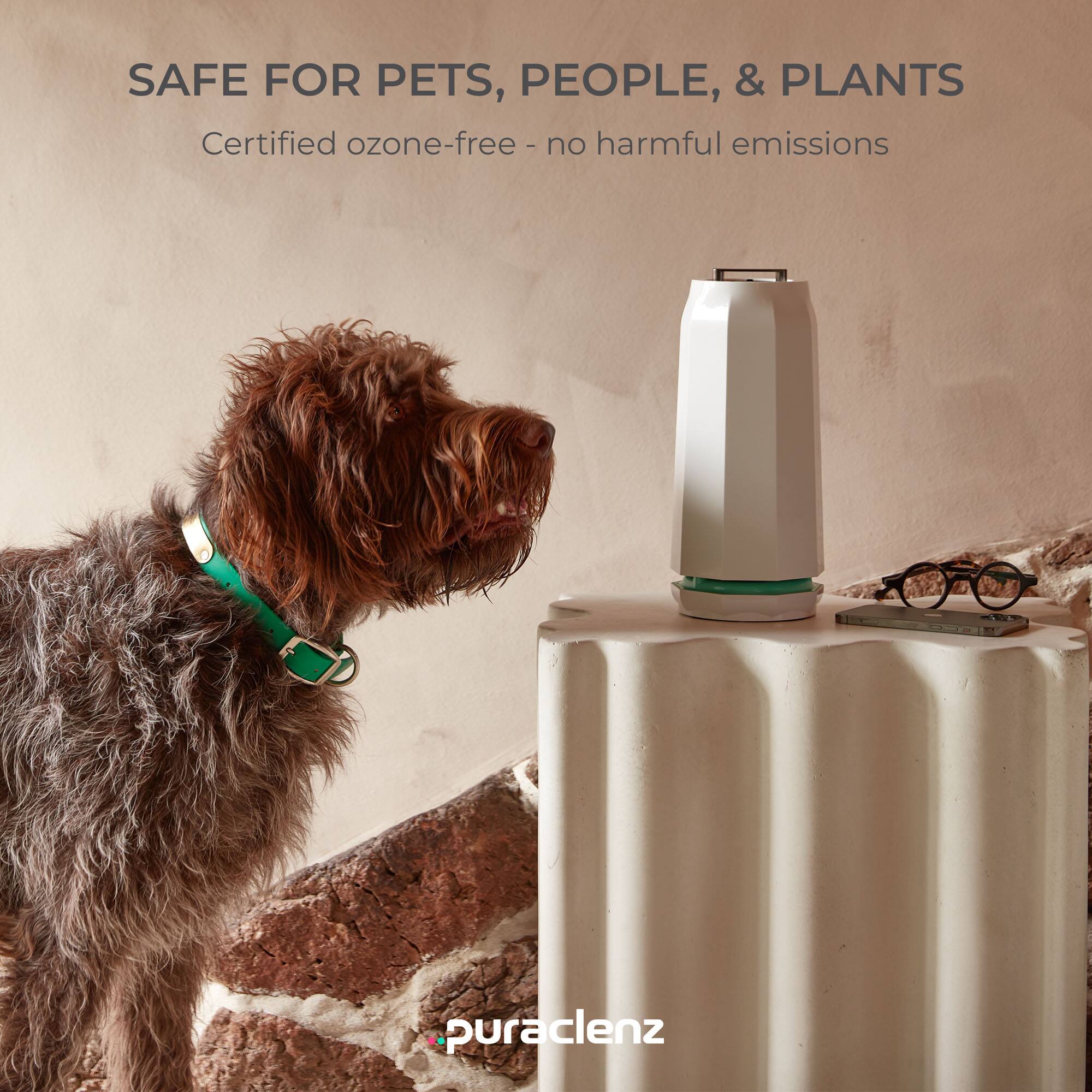 SAFE FOR PETS, PEOPLE, & PLANTS  
Certified ozone-free - no harmful emissions  

puracenz