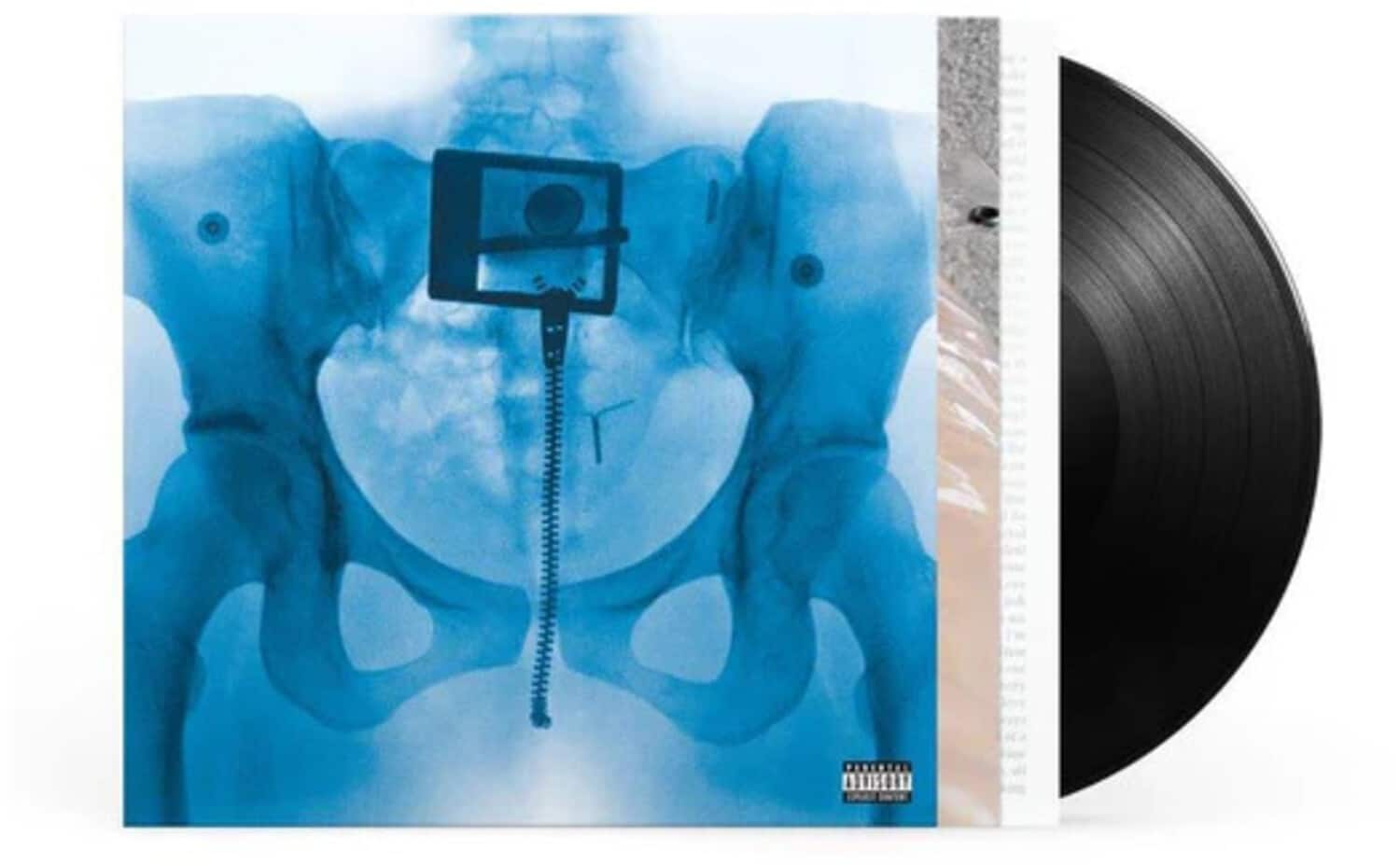 Lorde Virgin VINYL LP - Best Buy