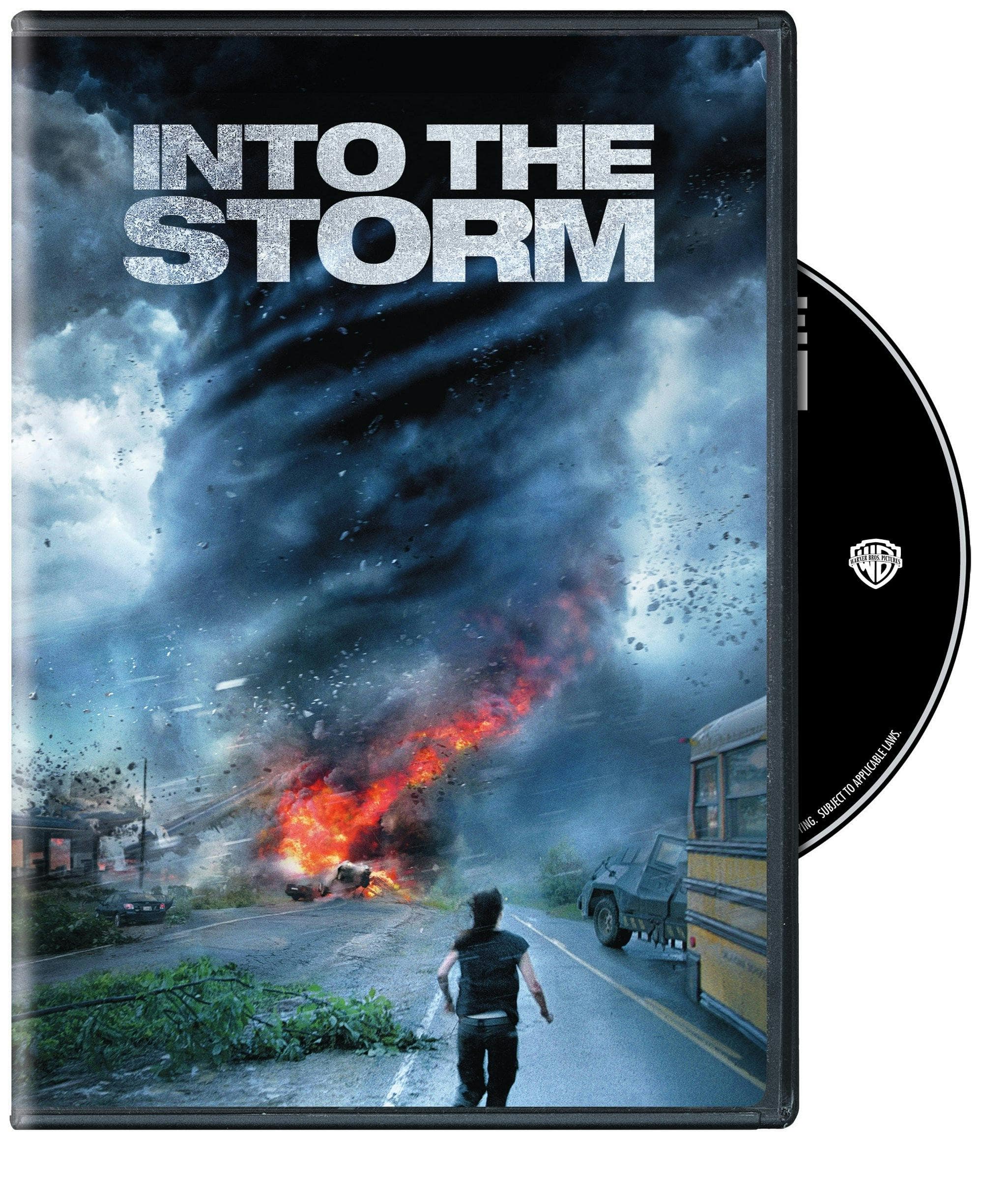 Into the Storm [DVD]