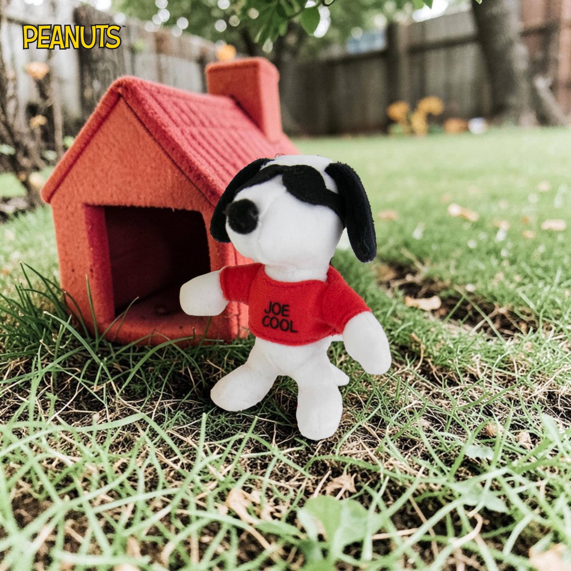 PEANUTS  
JOE COOL