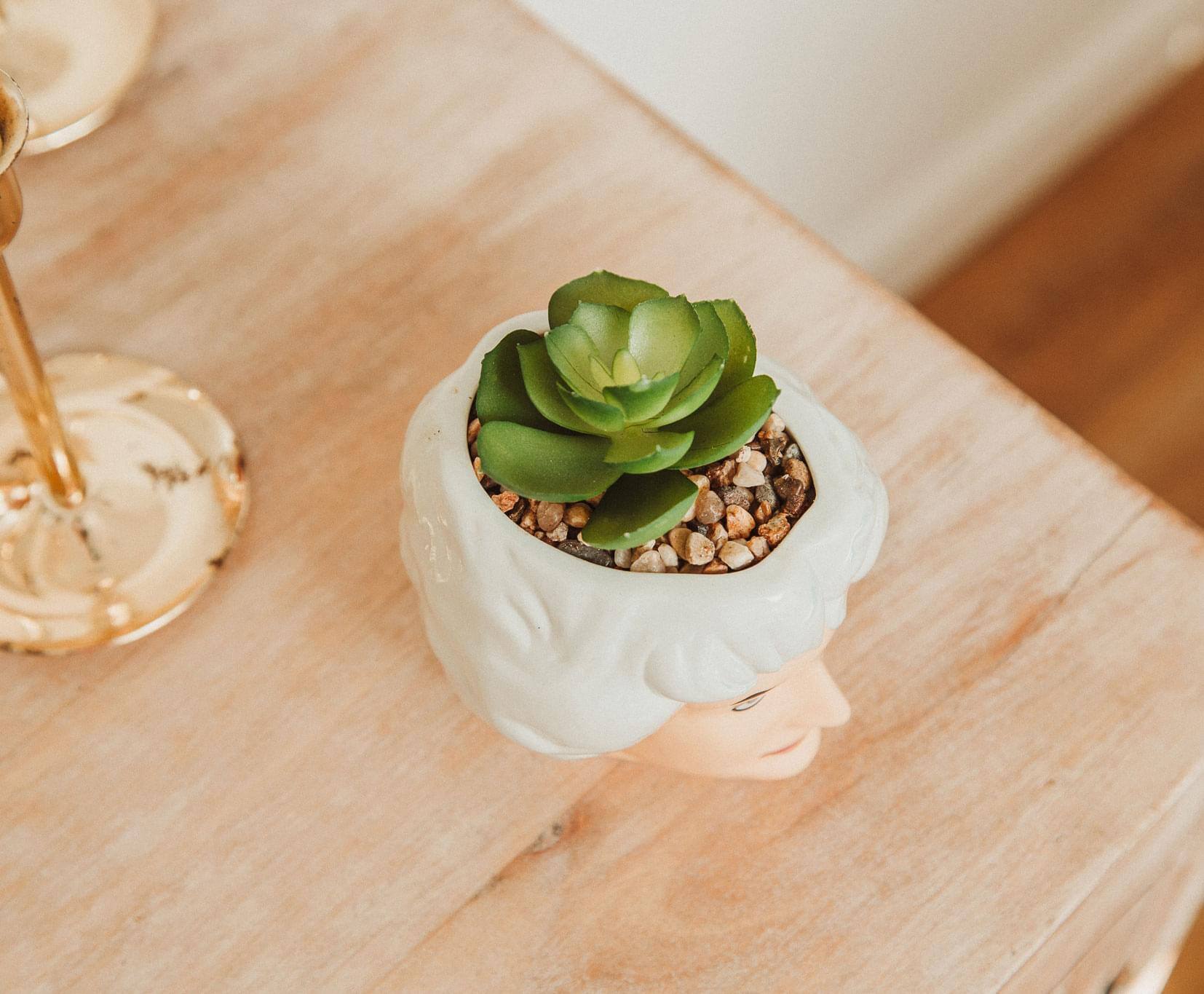 Alt View 3. Silver Buffalo - The Golden Girls Dorothy 3-Inch Ceramic Mini Planter With Artificial Succulent - White.
