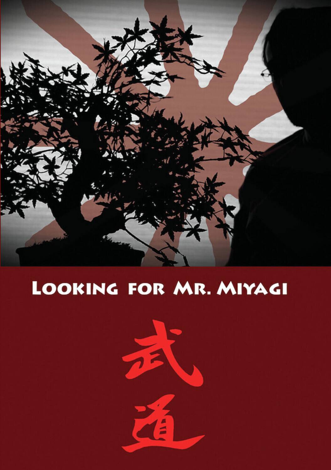 Looking For Mr. Miyagi  - DVD