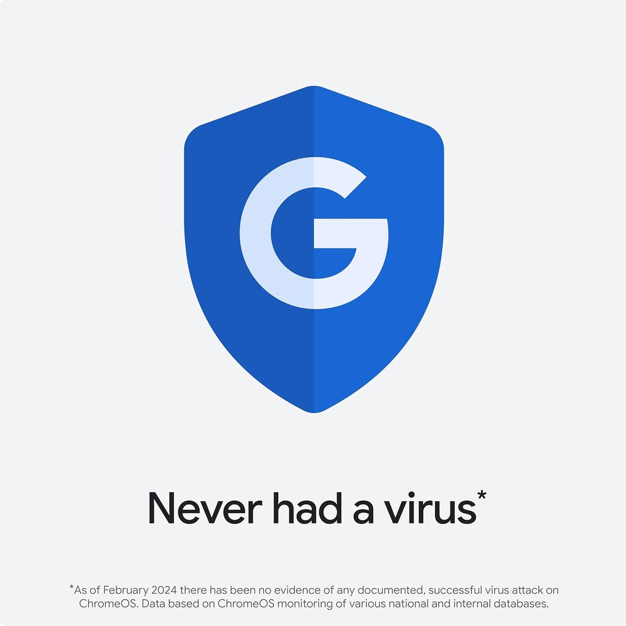 Never had a virus*

*As of February 2024 there has been no evidence of any documented, successful virus attack on ChromeOS. Data based on ChromeOS monitoring of various national and internal databases.