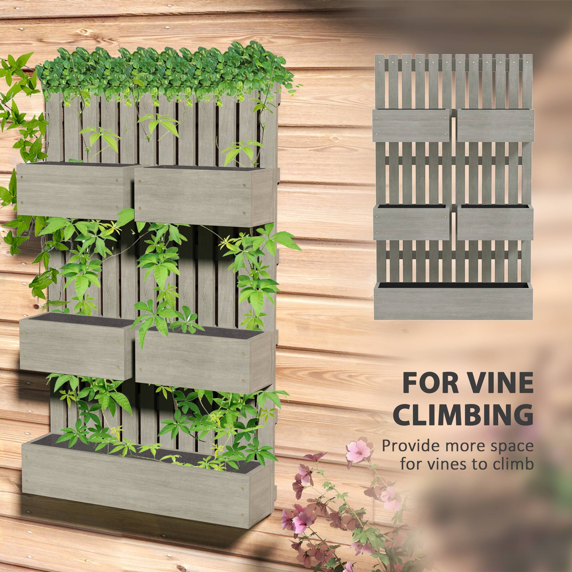 FOR VINE CLIMBING
Provide more space for vines to climb