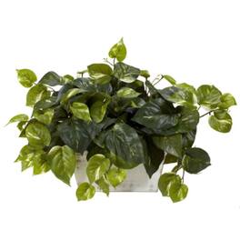 BreeBe - Pothos w/White Wash Planter Silk Plant - Green