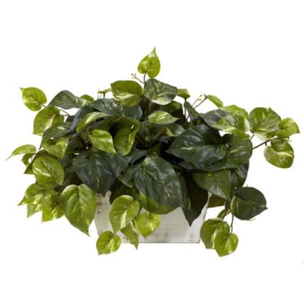 Front. BreeBe - Pothos w/White Wash Planter Silk Plant - Green.