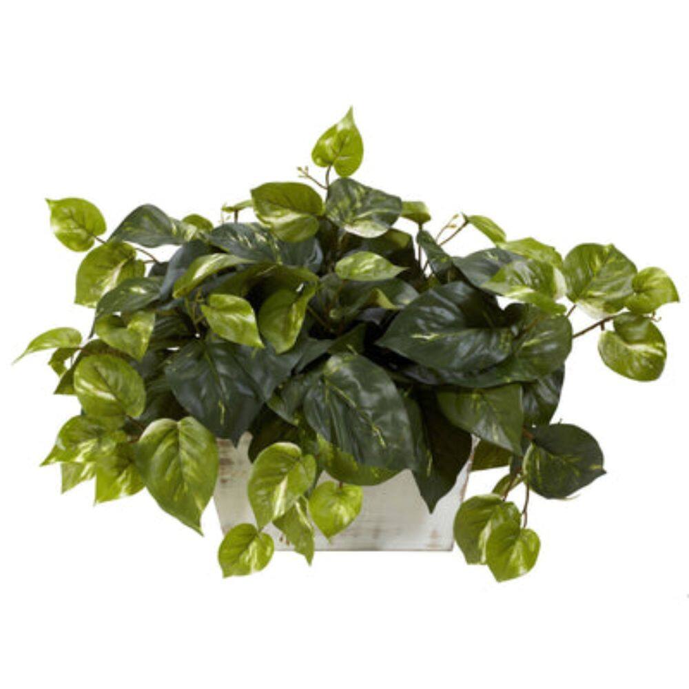 Front. BreeBe - Pothos w/White Wash Planter Silk Plant - Green.