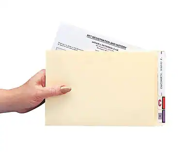 PET REGISTRATION AND HISTORY
AUTHOR: J. PETTERSON
DATE: 2/14/2023
CALIFORNIA, USA
C
H