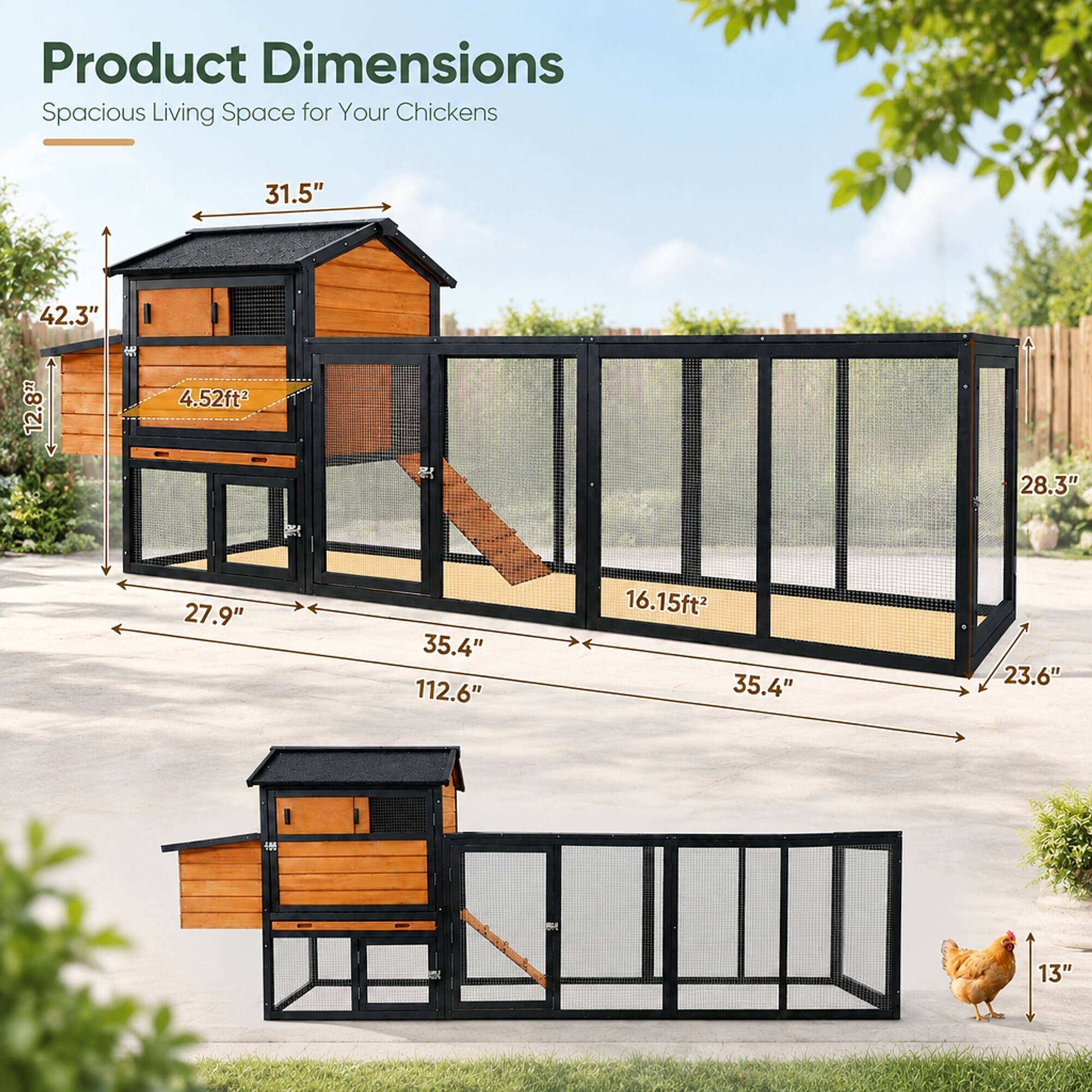 Product Dimensions: Spacious Living Space for Your Chickens

- 31.5"
- 42.3" x 12.8"
- 4.52ft²
- 28.3"
- 27.9" x 35.4" x 112.6"
- 16.15ft²
- 35.4" x 23.6"
- 13"