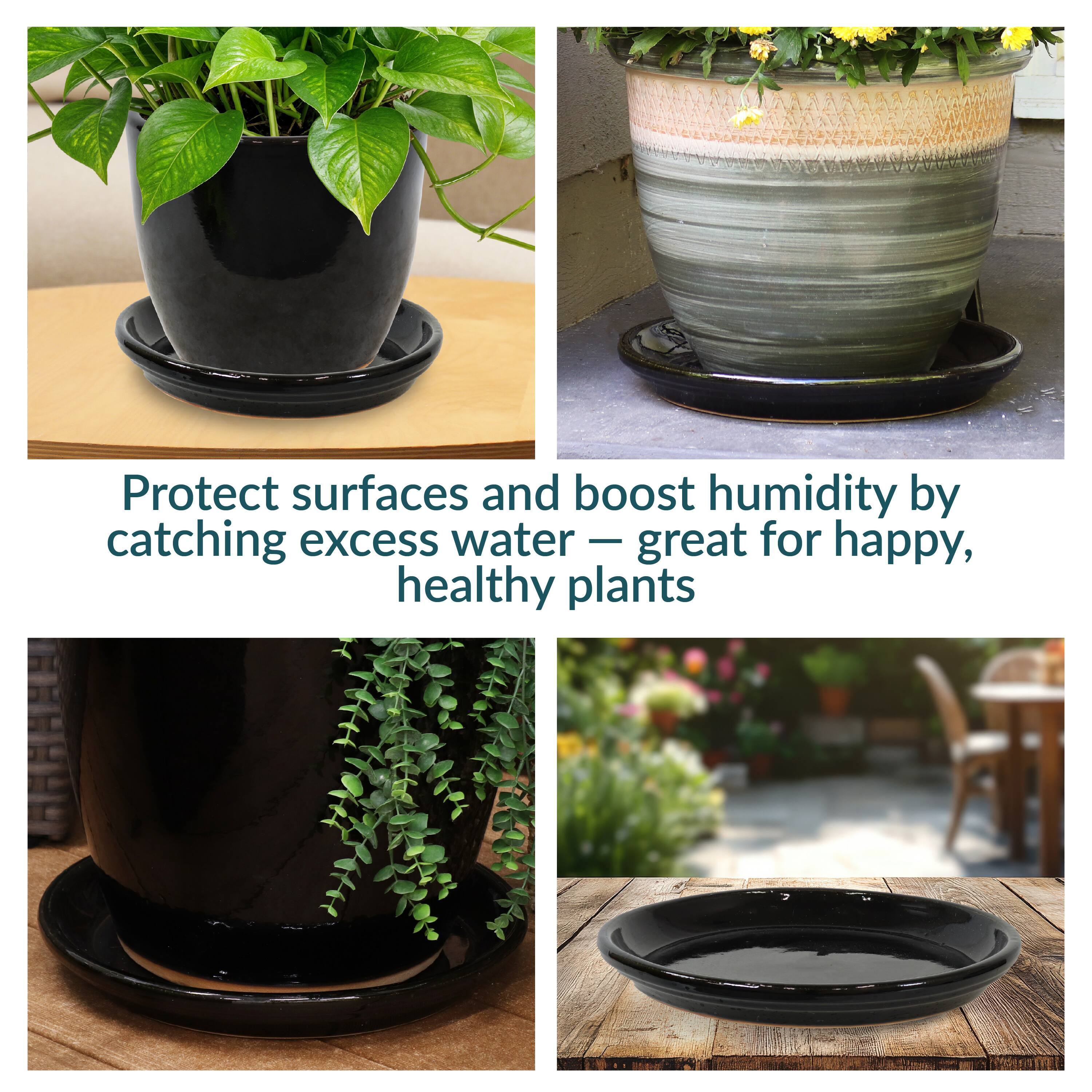 Protect surfaces and boost humidity by catching excess water — great for happy, healthy plants