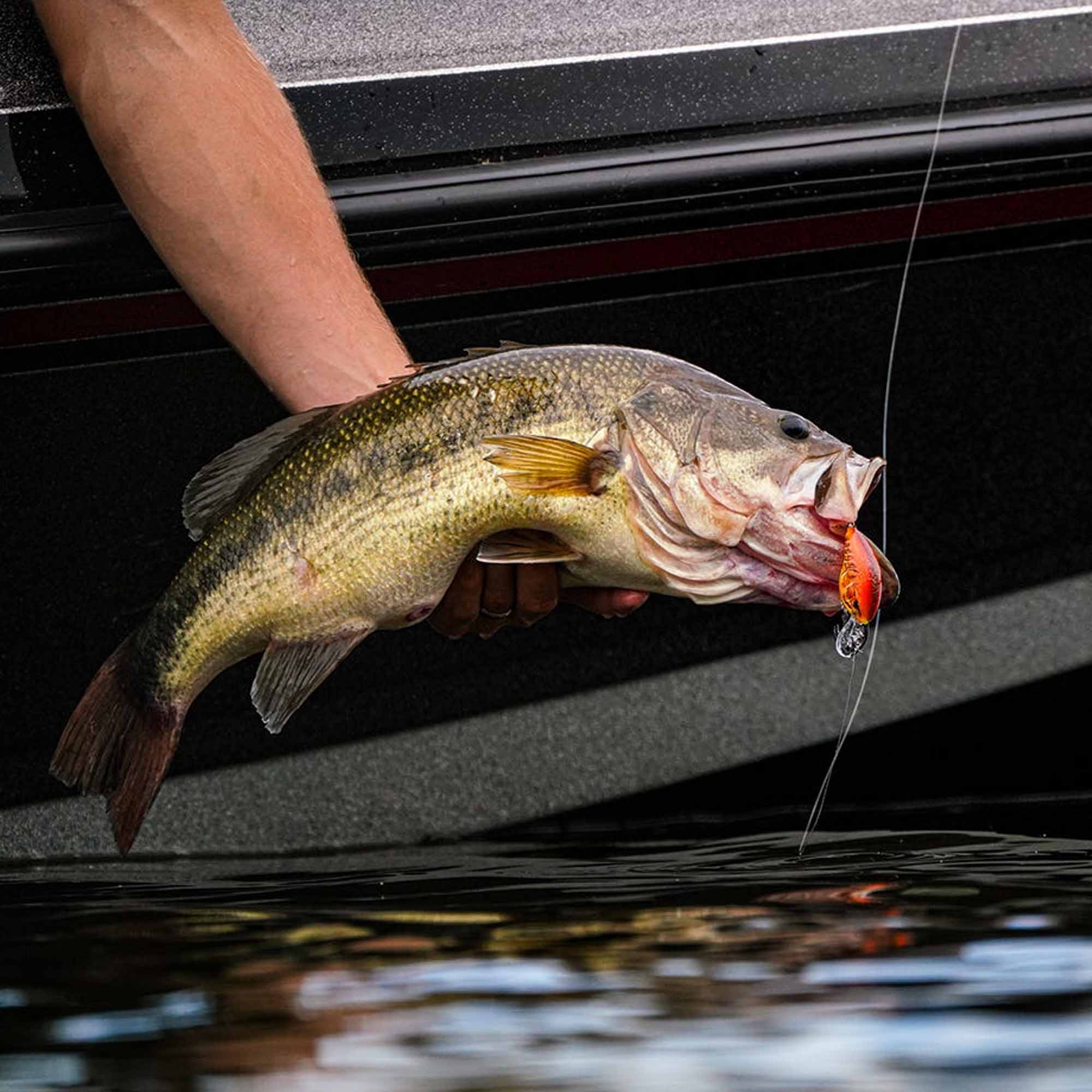 Alt View 3. Rapala - Rapala Dives-To 08, Lemon Shad - Lemon Shad.
