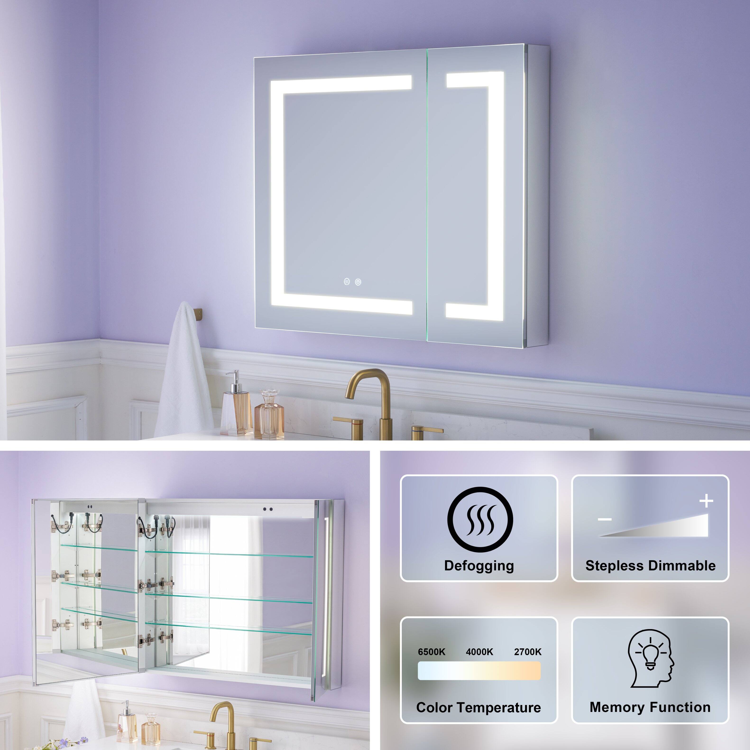 - Defogging
- Stepless Dimmable
- 6500K 4000K 2700K Color Temperature
- Memory Function