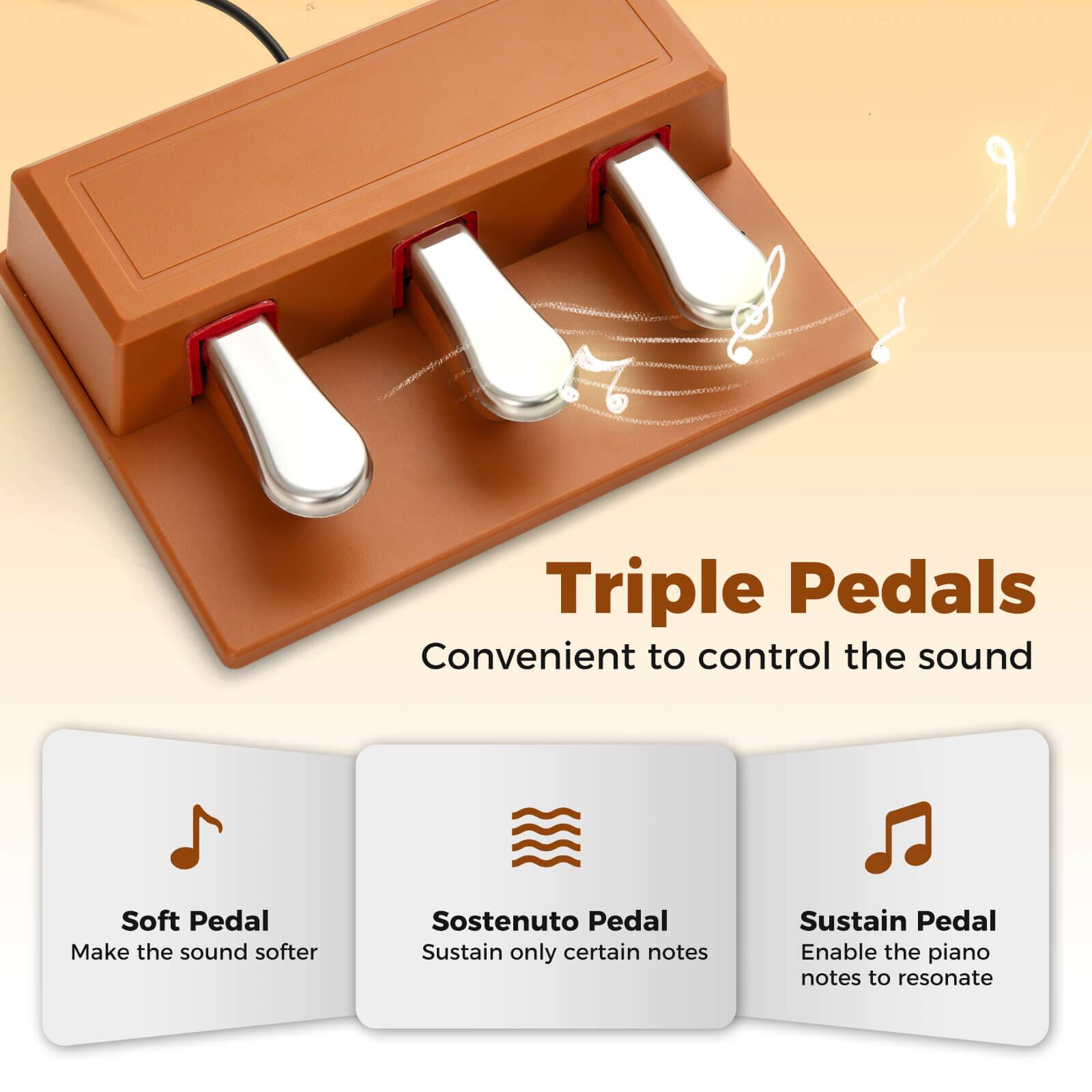 Triple Pedals  
Convenient to control the sound  

- Soft Pedal  
  Make the sound softer  

- Sostenuto Pedal  
  Sustain only certain notes  

- Sustain Pedal  
  Enable the piano notes to resonate