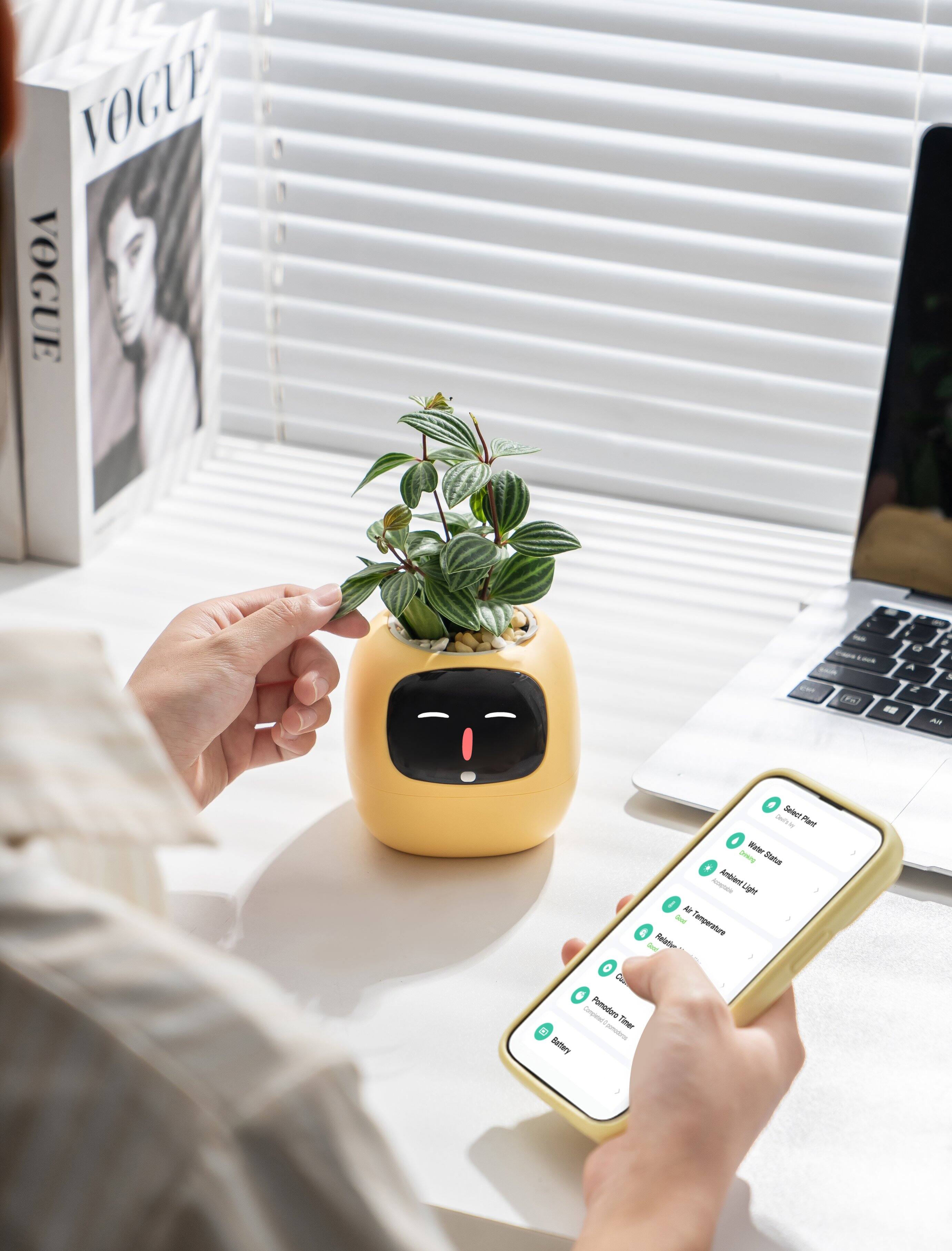 VOGUE

- Plant Water
- Ambient Light
- Air Temperature
- Relative Humidity
- Water Status
- Ambient Light
- Air Temperature
- Relative Humidity
- Water Status
- Ambient Light
- Air Temperature
- Relative Humidity
- Water Status
- Ambient Light
- Air Temperature
- Relative Humidity
- Water Status
- Ambient Light
- Air Temperature
- Relative Humidity
- Water Status
- Ambient Light
- Air Temperature
- Relative Humidity
- Water Status
- Ambient Light
- Air Temperature
- Relative Humidity
- Water Status
- Ambient Light
- Air Temperature
- Relative Humidity
- Water Status
- Ambient Light
- Air Temperature
- Relative Humidity
- Water Status
- Ambient Light
- Air Temperature
- Relative Humidity
- Water Status
- Ambient Light
- Air Temperature
- Relative Humidity
- Water Status
- Ambient Light
- Air Temperature
- Relative Humidity
- Water Status
- Ambient Light
- Air Temperature
- Relative Humidity
- Water Status
- Ambient Light
- Air Temperature
- Relative Humidity
- Water Status
- Ambient Light
- Air Temperature
- Relative